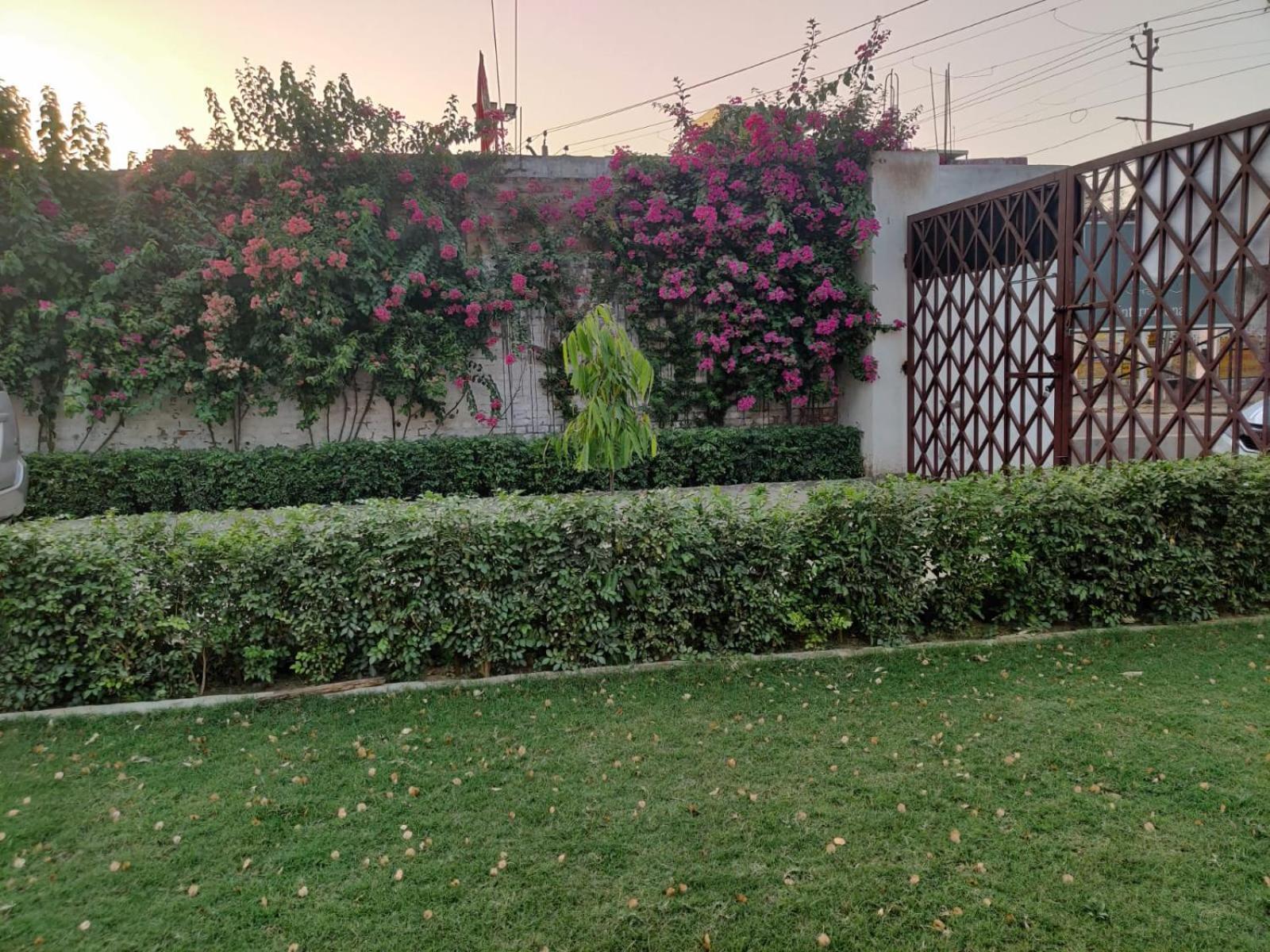 Jp International Naimisharanya Hotel Exterior foto